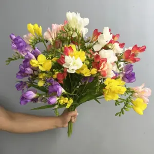 kf Sc713c7e643b3413c91e74ce1c941901fL