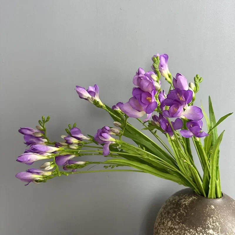 kf Sca7444819ea94251a06aa3b53aec6edcW