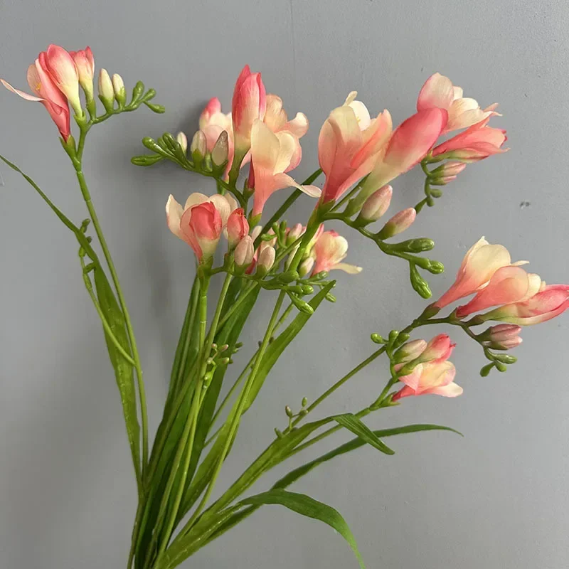 kf Scb1b236bbc714eb3a2c8291486bbc7092