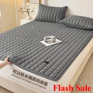 Hot Type A Waterproof Mattress Mattress Bed Pad Raw Cotton Soybean Padded Cotton Pad -- EGGER Series