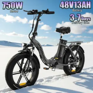 Electric Bike 750W Motor 48V13AH Battery Double Shock Absorber Electric Bicycle 20-Inch Fat Fetus Anti-slip Folding E-Bike