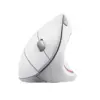 Wireless mouse TRUST VERTO WIRELESS ERGO WHT