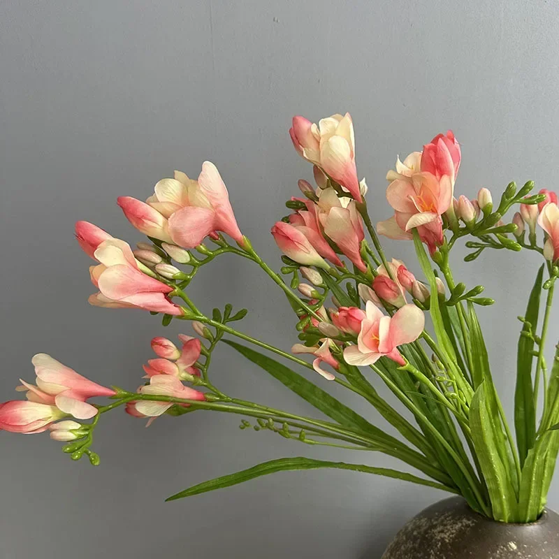 kf Sd7c03969a231463eb8063adb338c32a2q