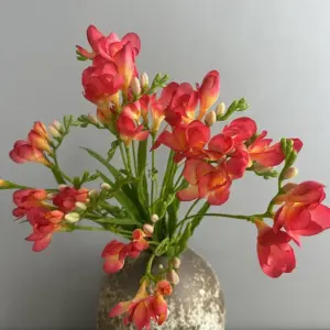 kf Sd7c8acbffd3e4c4495522d8fcce6ae7fk