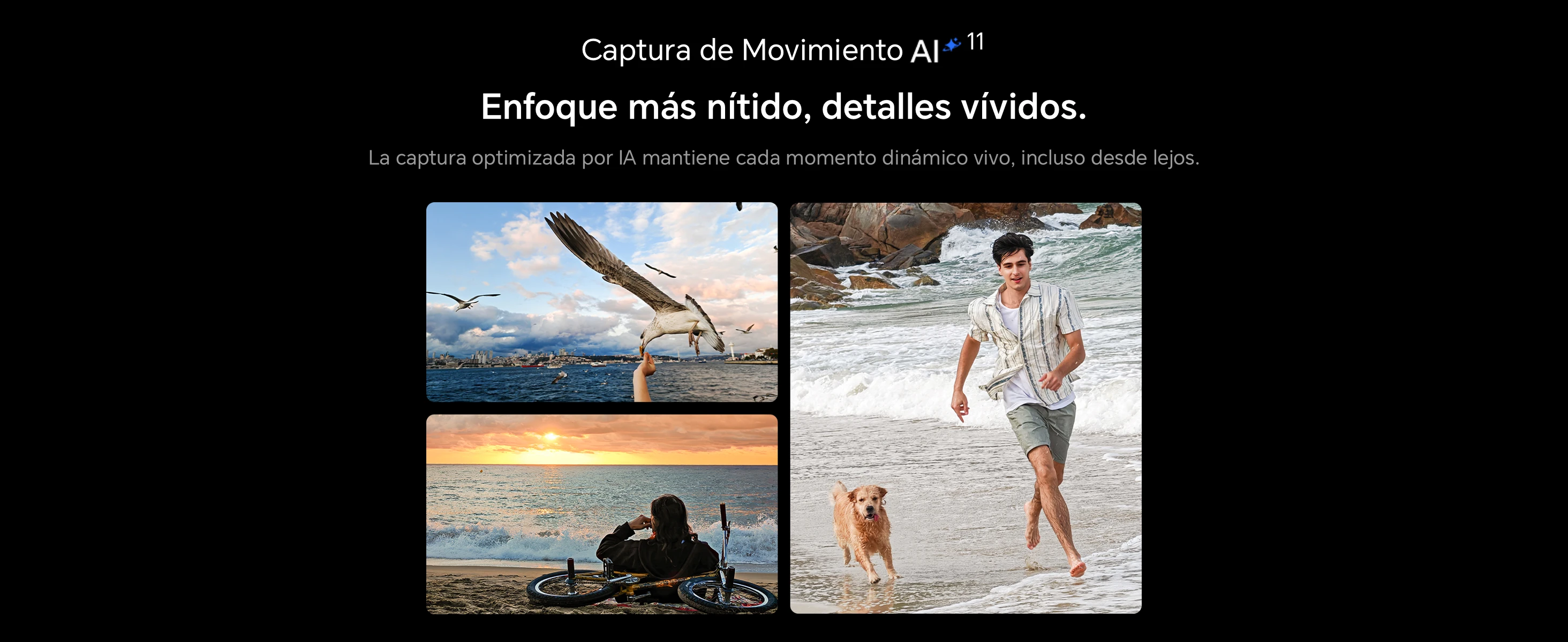 kf Sd9dffb537b3b40dc999c9b315914e573B