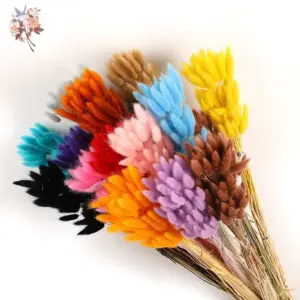100Pcs Natural Bunny Rabbit Tail Grass Real Dried Flower Home Decor Bouquet Colorful Lagurus Ovatus Wedding Floral Arrangement