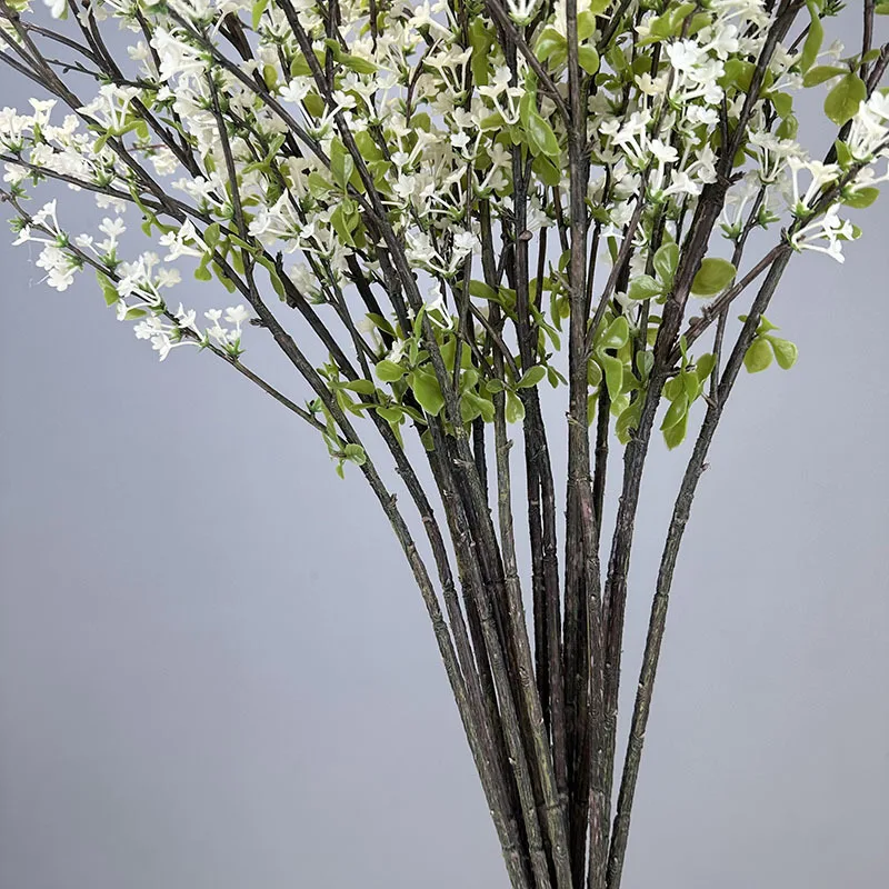 kf Se2af9885da1341cdb33e13b61bd4d9194