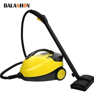 High Steam Cleaner Kill Mites Disinfector Home Kitchen 2000W Electric Steam Cleaner for Stain Removal, formaldehyde, Floor, car