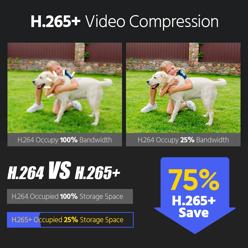 kf-Se9f07844ac7d446ca7a93a5968dacd15l