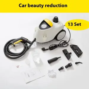 High Temperature Steam Cleaner High Pressure Washer Household Kitchen Sofa Furniture Sterilization Disinfection Car High Power