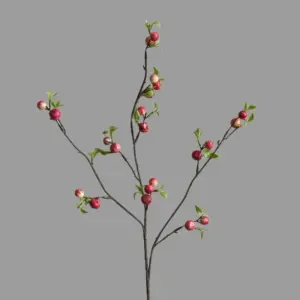 kf Seaee22fdf6f74b9ea9b21af29df5d024J