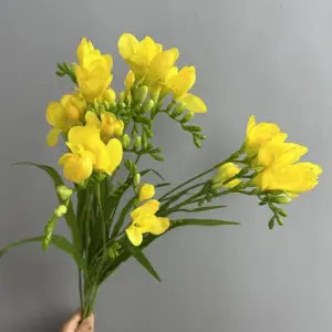 kf Sec7f11a97eea463f8627c5407a825d09M