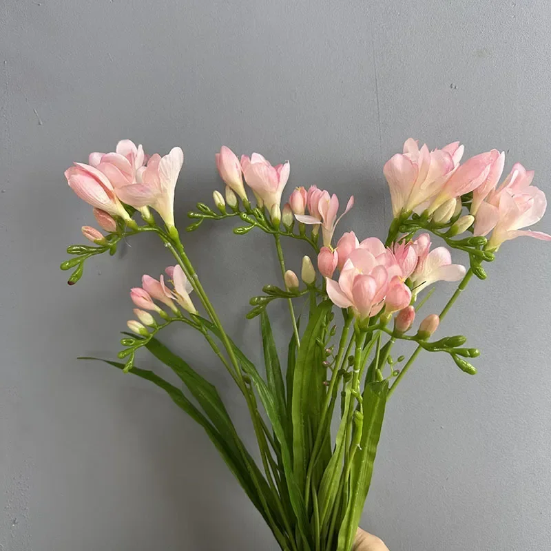 kf Sf2fae3a083724c3880c2b3ebe0a9a9010