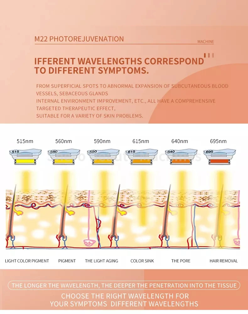 kf Sf33129938a8d49c6aa4afbea80aa374aY