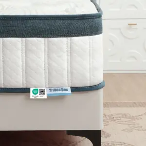 Tribesigns mattress 120x200 cm Height 25 cm Pocket spring Core mattress Medium Hardness H3 7-Zone Orthopedic mattress