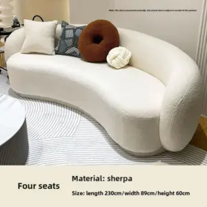 hot sale simple living room sofa small apartment lamb wool light luxury cream style clothing store curved loung 2 kf Sff042d87ef44499eb73fa482b1b3f0e0j