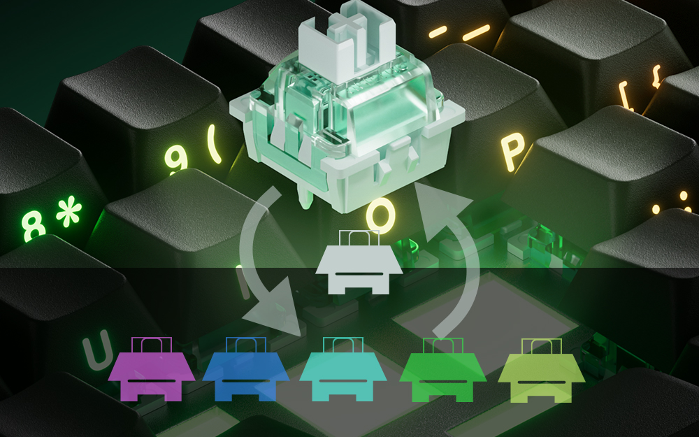 wp content uploads 2024 12 FUN60 Cross Compatible 3