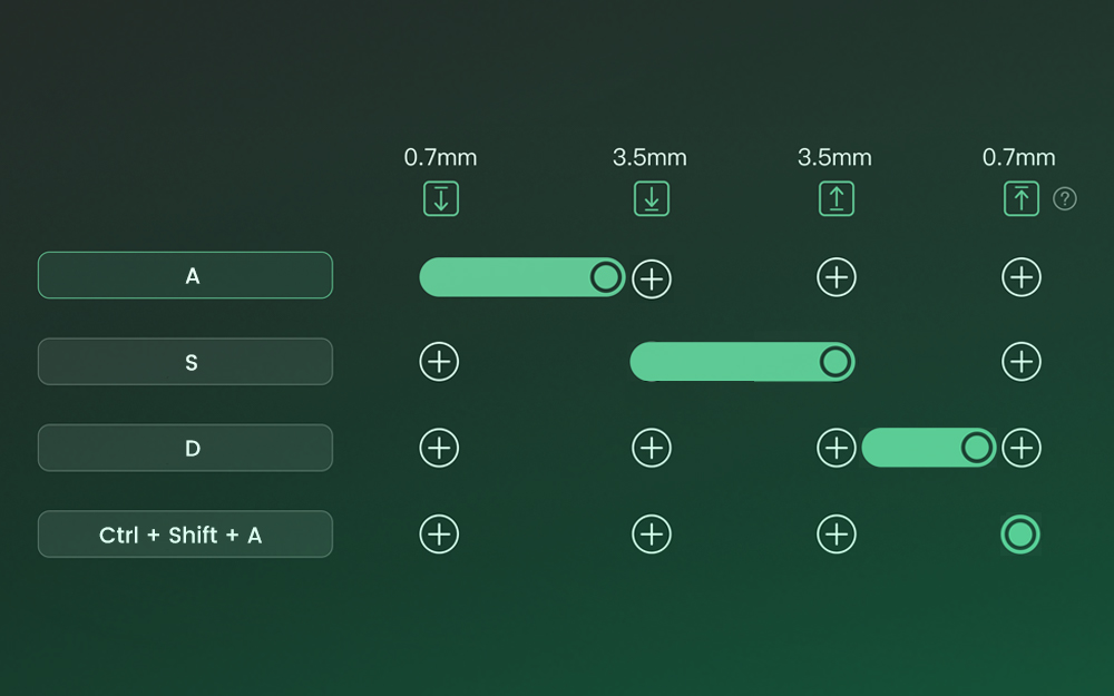 wp content uploads 2024 12 FUN60 DKS