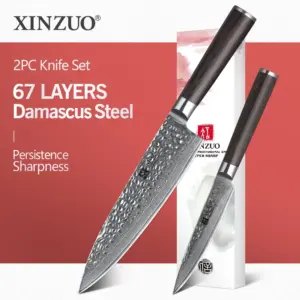 XINZUO 2 PCS Kitchen Knife Set 67 Layers Japanese Damascus Stainless Steel High Quality VG10 Chef Utility Knives Pakkawod Handle