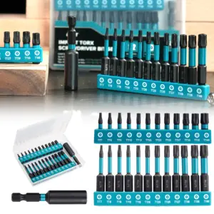 25PCS Tamper Proof Torx Bit Set Magnetic Screwdriver Star Bits for Impact Driver, S2 Steel Torque Bit Set With Storage Box