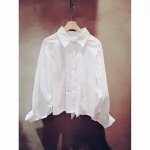 2025 Spring New Fashion Puff Sleeve Shirt Peter Pan Collar Blouses Women Ladies Tops White Shirts Vintage Female Korean Blouse