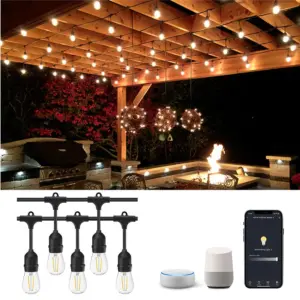 LED Smart String Light, Outdoor Patio Light with Edison Bulbs, 2.4GHZ WI-FI App Controlled, Works with Alexa/Google Assistant