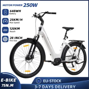 TTGO 28-Inch E-Bike for Women & Men 250W Motor 36V 648 Wh City Bike 120KM Range 9-Speed Electric Bicycle with LCD Display,Gifts