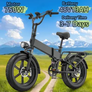 URLIFE T5 E-bike 750W 48V13AH Lithium Battery Adult Riding Electric Bicycle Full Suspension 20*4.0 inch Fat Wheel Mountain Ebike