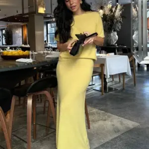 Wolfeel Summer New Soft Knit Set Women's Short Sleeve Pullover Top Skirt Solid Color Elegant Minimalist Two Piece Set